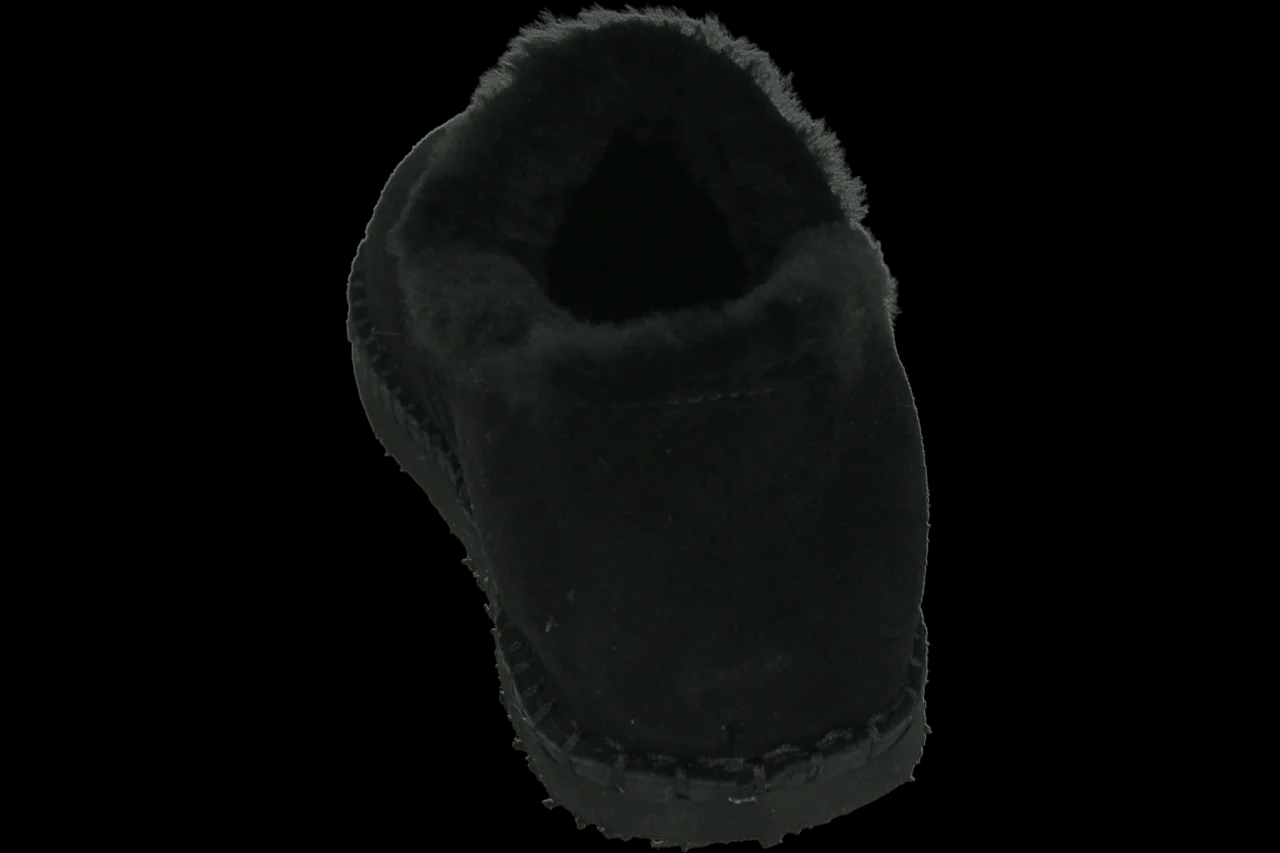 Ara 1529958 497.00.015